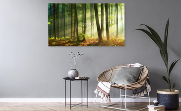 Visualisatie van het product