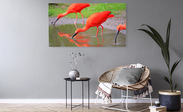 Visualisatie van het product