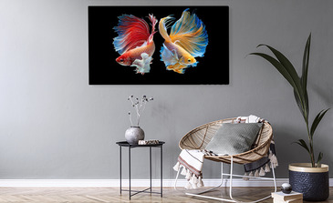 Visualisatie van het product