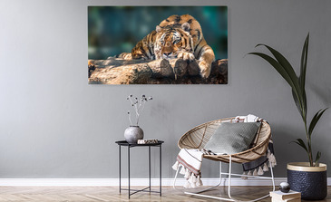 Visualisatie van het product