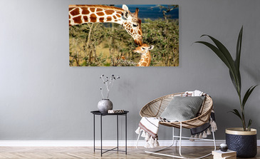 Visualisatie van het product