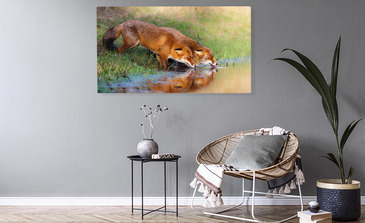 Visualisatie van het product