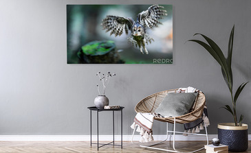 Visualisatie van het product