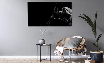 Visualisatie van het product