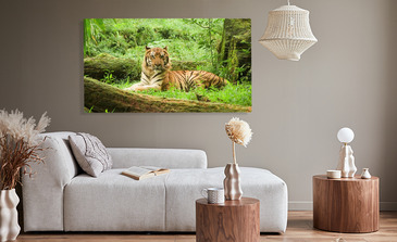 Visualisatie van het product