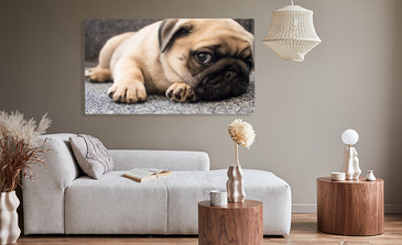 Visualisatie van het product