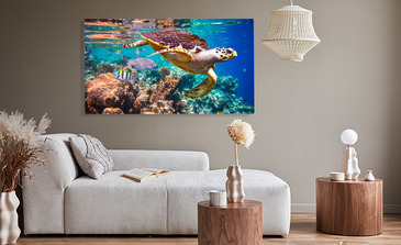 Visualisatie van het product