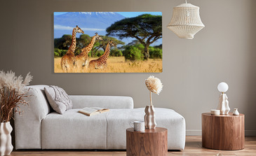 Visualisatie van het product