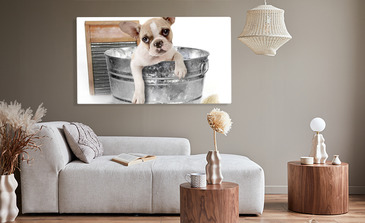 Visualisatie van het product