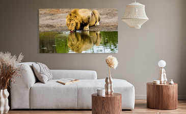 Visualisatie van het product