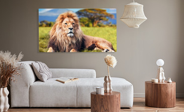 Visualisatie van het product