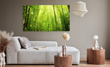 Visualisatie van het product