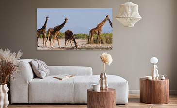 Visualisatie van het product