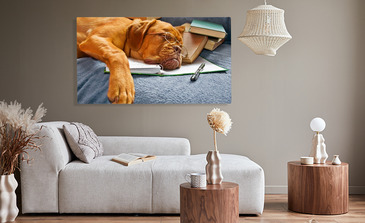 Visualisatie van het product