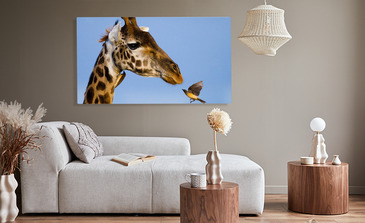 Visualisatie van het product