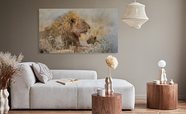 Visualisatie van het product