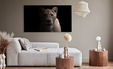 Visualisatie van het product