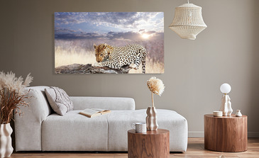 Visualisatie van het product