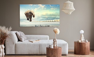 Visualisatie van het product