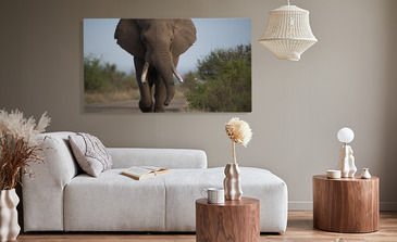 Visualisatie van het product