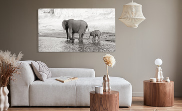 Visualisatie van het product