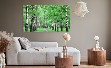 Visualisatie van het product