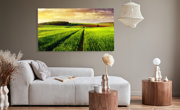 Visualisatie van het product