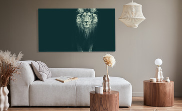 Visualisatie van het product