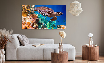 Visualisatie van het product