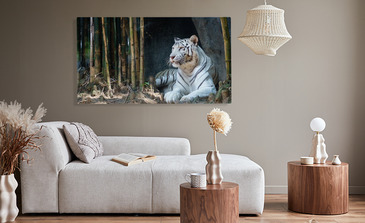 Visualisatie van het product