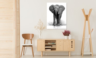 Visualisatie van het product