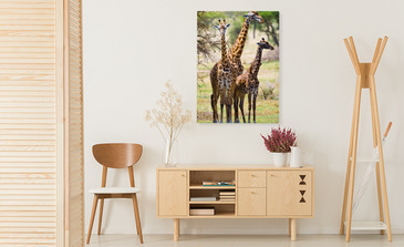 Visualisatie van het product