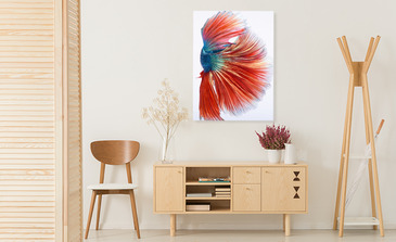 Visualisatie van het product