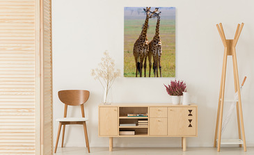 Visualisatie van het product