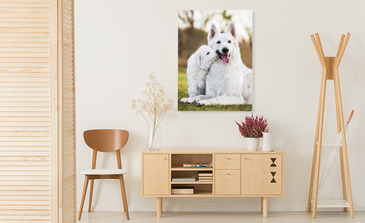 Visualisatie van het product