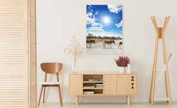 Visualisatie van het product