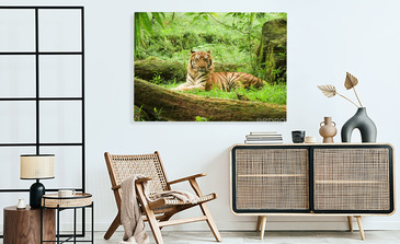 Visualisatie van het product