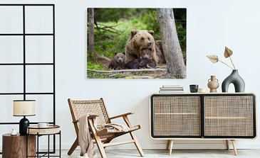 Visualisatie van het product