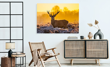 Visualisatie van het product