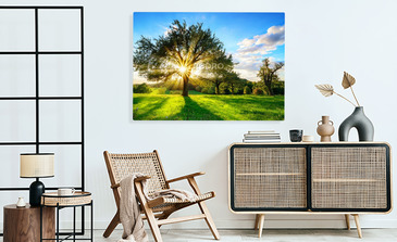 Visualisatie van het product