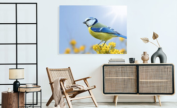 Visualisatie van het product