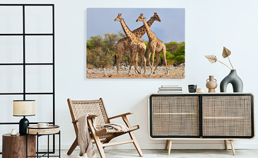 Visualisatie van het product