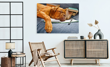 Visualisatie van het product