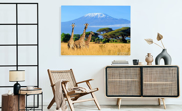 Visualisatie van het product