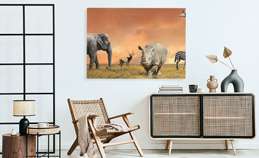 Visualisatie van het product