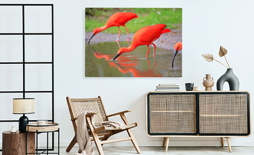 Visualisatie van het product