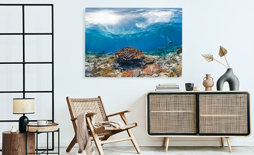 Visualisatie van het product