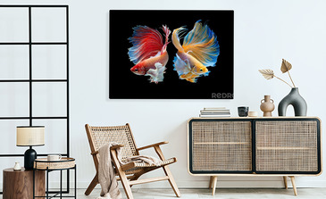 Visualisatie van het product