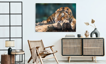 Visualisatie van het product