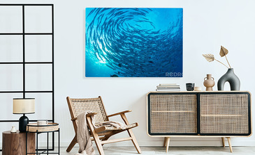 Visualisatie van het product